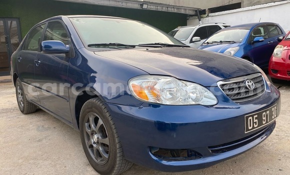 Sayi Imported Toyota Corolla Blue Mota in Douala a Ƙasar Kamaru Sayi Imported Toyota Corolla Blue Mota in Douala a Ƙasar Kamaru