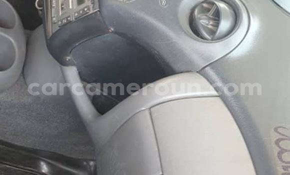 Buy Used Toyota Yaris Other Car in Dschang in West Cameroon Buy Used Toyota Yaris Other Car in Dschang in West Cameroon
