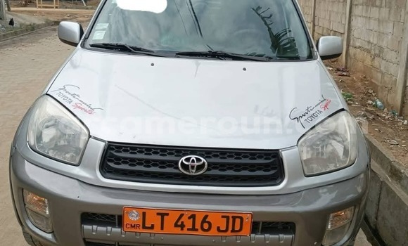 Buy Used Toyota RAV4 Silver Car in Douala in Littoral Cameroon