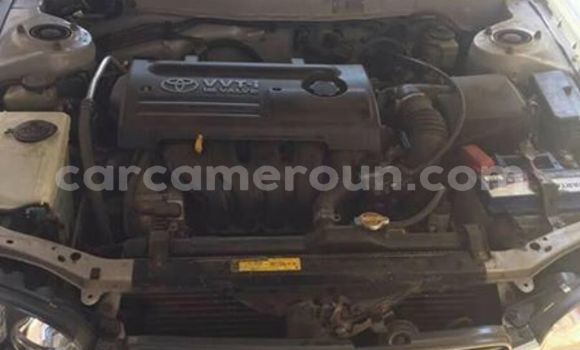 Acheter Occasion Voiture Toyota Corolla Gris à Douala, Littoral Cameroon Acheter Occasion Voiture Toyota Corolla Gris à Douala, Littoral Cameroon