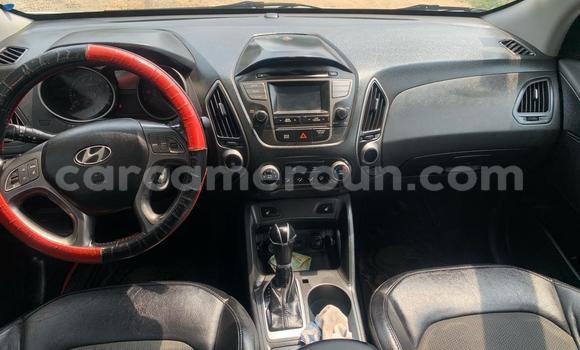 Acheter Occasion Voiture Hyundai Tucson Gris à Douala, Littoral Cameroon Acheter Occasion Voiture Hyundai Tucson Gris à Douala, Littoral Cameroon