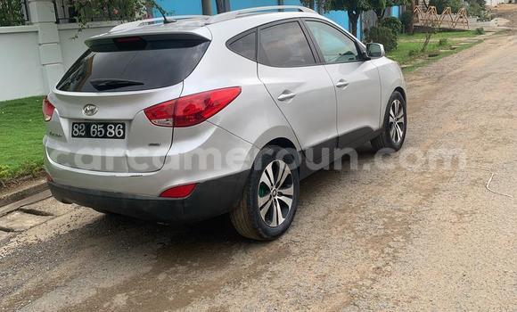 Acheter Occasion Voiture Hyundai Tucson Gris à Douala, Littoral Cameroon Acheter Occasion Voiture Hyundai Tucson Gris à Douala, Littoral Cameroon