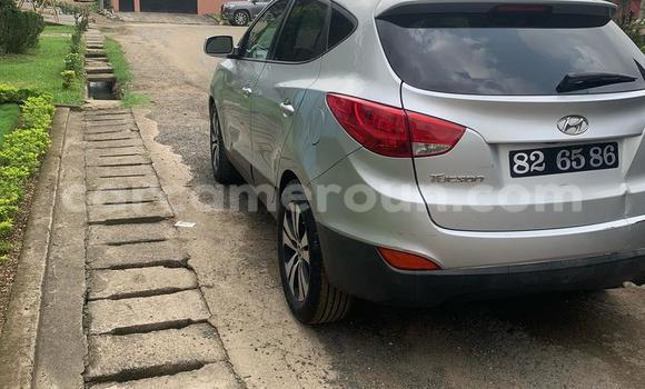 Acheter Occasion Voiture Hyundai Tucson Gris à Douala, Littoral Cameroon Acheter Occasion Voiture Hyundai Tucson Gris à Douala, Littoral Cameroon