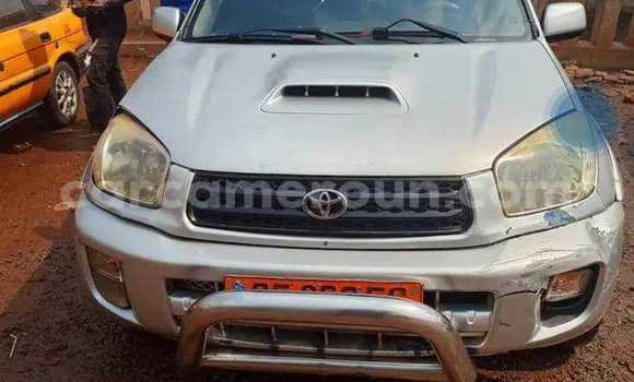 Buy Used Toyota RAV4 Silver Car in Yaounde in Central Cameroon