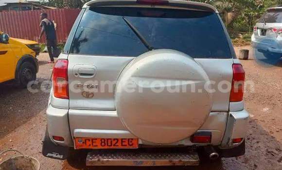 Buy Used Toyota RAV4 Silver Car in Yaounde in Central Cameroon Buy Used Toyota RAV4 Silver Car in Yaounde in Central Cameroon