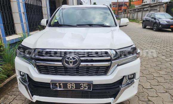 Sayi Na hannu Toyota Land Cruiser White Mota in Douala a Ƙasar Kamaru