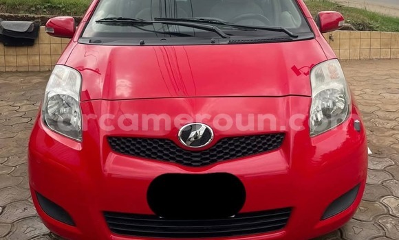 Buy Used Toyota Vitz Red Car in Douala in Littoral Cameroon