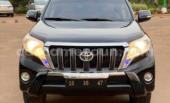 Buy Used Toyota Prado Black Car in Yaounde in Central Cameroon Buy Used Toyota Prado Black Car in Yaounde in Central Cameroon