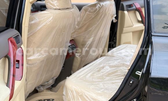 Buy Used Toyota Prado Black Car in Yaounde in Central Cameroon Buy Used Toyota Prado Black Car in Yaounde in Central Cameroon