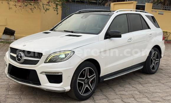 Buy New Mercedes Viano White Car in Yaounde in Central Cameroon Buy New Mercedes Viano White Car in Yaounde in Central Cameroon