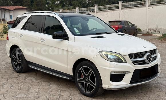 Buy New Mercedes Viano White Car in Yaounde in Central Cameroon Buy New Mercedes Viano White Car in Yaounde in Central Cameroon