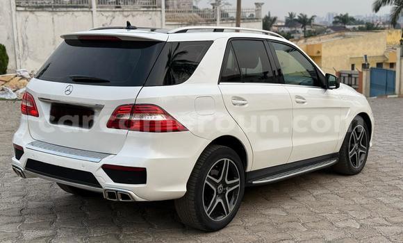 Buy New Mercedes Viano White Car in Yaounde in Central Cameroon Buy New Mercedes Viano White Car in Yaounde in Central Cameroon