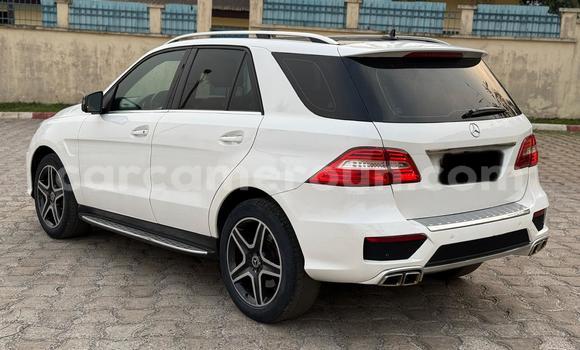 Buy New Mercedes Viano White Car in Yaounde in Central Cameroon Buy New Mercedes Viano White Car in Yaounde in Central Cameroon