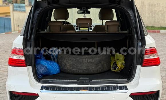 Buy New Mercedes Viano White Car in Yaounde in Central Cameroon Buy New Mercedes Viano White Car in Yaounde in Central Cameroon
