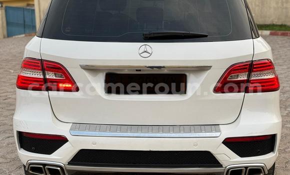 Buy New Mercedes Viano White Car in Yaounde in Central Cameroon Buy New Mercedes Viano White Car in Yaounde in Central Cameroon