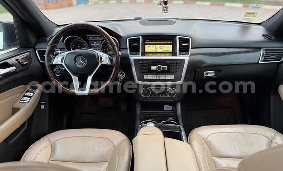 Buy New Mercedes Viano White Car in Yaounde in Central Cameroon Buy New Mercedes Viano White Car in Yaounde in Central Cameroon