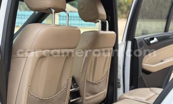 Buy New Mercedes Viano White Car in Yaounde in Central Cameroon Buy New Mercedes Viano White Car in Yaounde in Central Cameroon