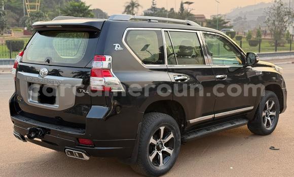 Buy New Toyota Prado Black Car in Yaounde in Central Cameroon Buy New Toyota Prado Black Car in Yaounde in Central Cameroon