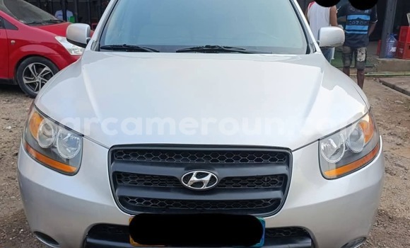 Buy Used Hyundai Santa Fe Silver Car in Douala in Littoral Cameroon