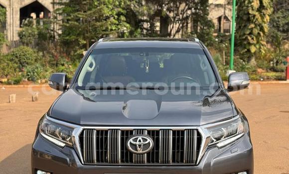 Buy New Toyota Prado Silver Car in Yaounde in Central Cameroon Buy New Toyota Prado Silver Car in Yaounde in Central Cameroon