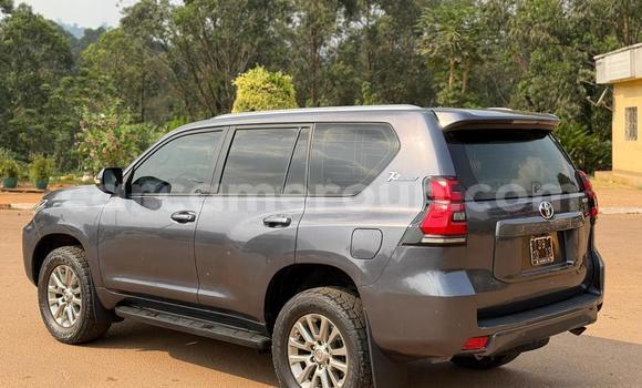 Buy New Toyota Prado Silver Car in Yaounde in Central Cameroon Buy New Toyota Prado Silver Car in Yaounde in Central Cameroon