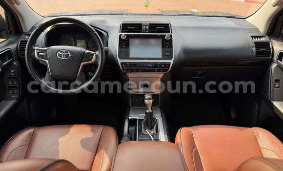 Buy New Toyota Prado Silver Car in Yaounde in Central Cameroon Buy New Toyota Prado Silver Car in Yaounde in Central Cameroon