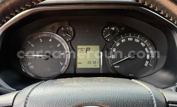 Buy New Toyota Prado Silver Car in Yaounde in Central Cameroon Buy New Toyota Prado Silver Car in Yaounde in Central Cameroon