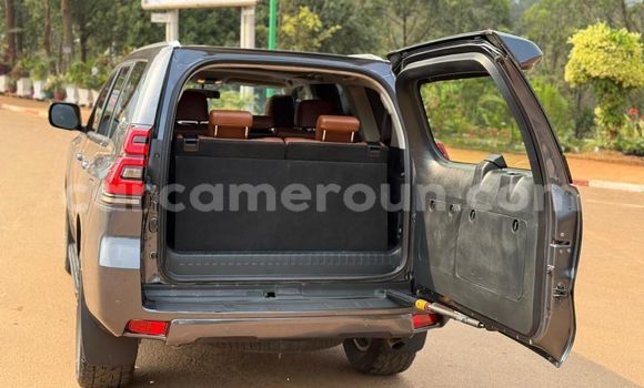 Buy New Toyota Prado Silver Car in Yaounde in Central Cameroon Buy New Toyota Prado Silver Car in Yaounde in Central Cameroon
