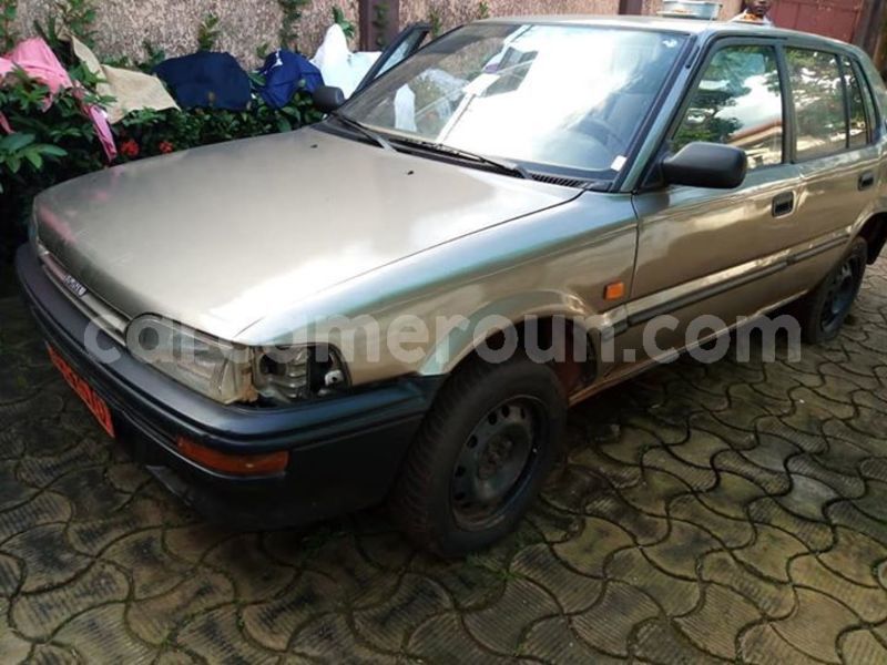 Big with watermark 45208166 380274936046284 8131220123303280640 n