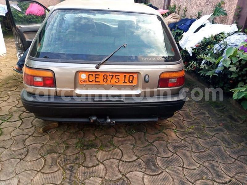 Big with watermark 45089366 380275022712942 2674614789648416768 n 1