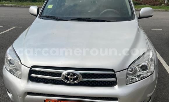 Buy Used Toyota RAV4 Silver Car in Douala in Littoral Cameroon