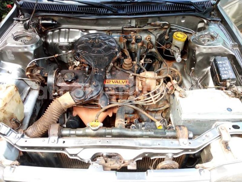 Big with watermark 45136189 380275102712934 9103357812947288064 n