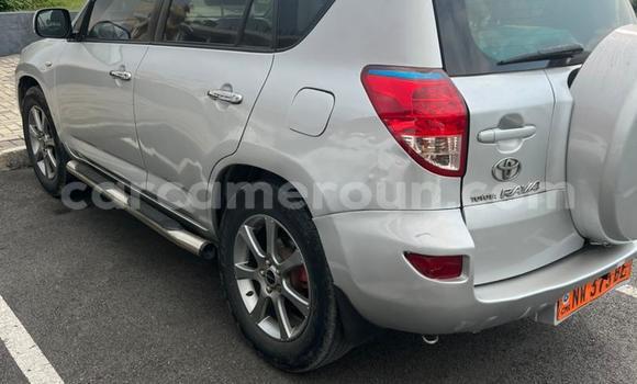 Buy Used Toyota RAV4 Silver Car in Douala in Littoral Cameroon Buy Used Toyota RAV4 Silver Car in Douala in Littoral Cameroon