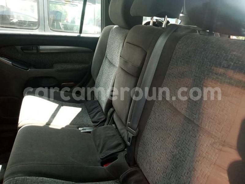 Big with watermark 45035674 379122372828207 2956987599207530496 n