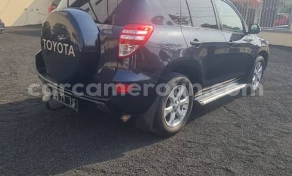 Acheter Import Voiture Toyota RAV4 Gris à Douala, Littoral Cameroon Acheter Import Voiture Toyota RAV4 Gris à Douala, Littoral Cameroon