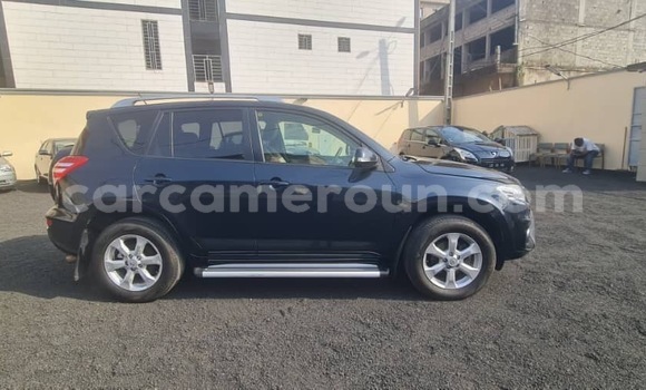 Acheter Import Voiture Toyota RAV4 Gris à Douala, Littoral Cameroon Acheter Import Voiture Toyota RAV4 Gris à Douala, Littoral Cameroon