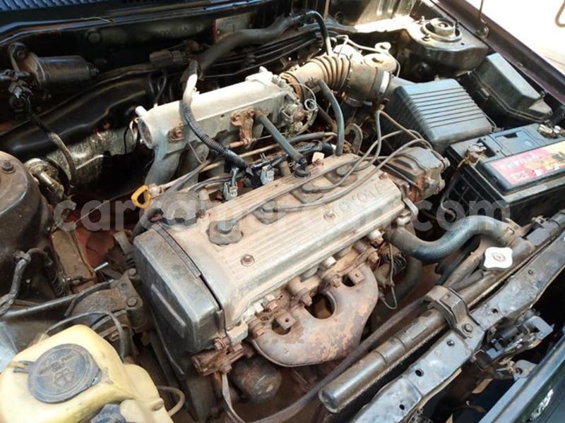 Big with watermark 44452590 374042520002859 1054343428113956864 n