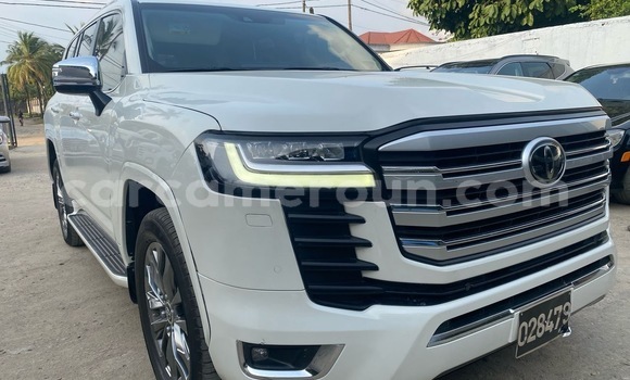 Acheter Import Voiture Toyota Land Cruiser Blanc à Douala, Littoral Cameroon