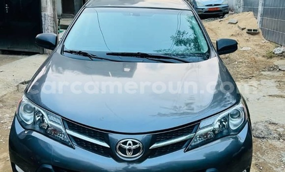 Buy Used Toyota RAV4 Other Car in Douala in Littoral Cameroon