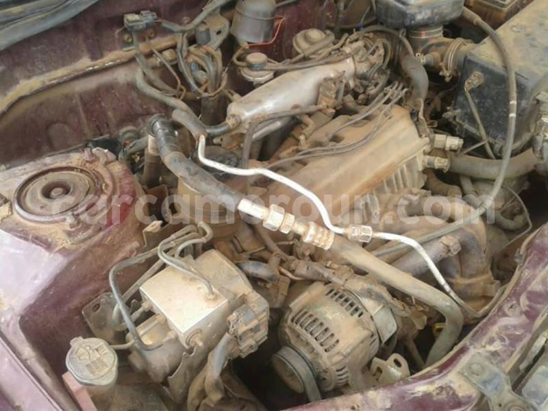 Big with watermark 44677345 485152271978939 3253627594339254272 o