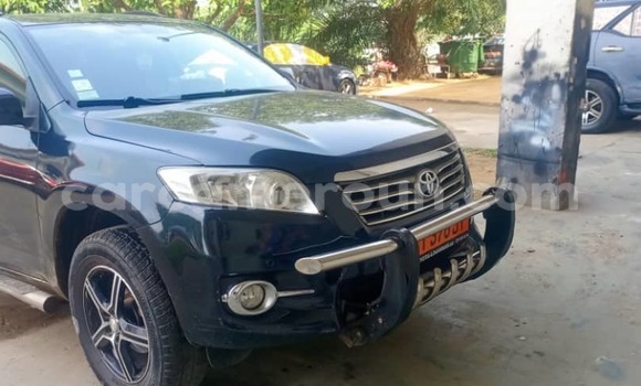 Buy Used Toyota RAV4 Black Car in Douala in Littoral Cameroon