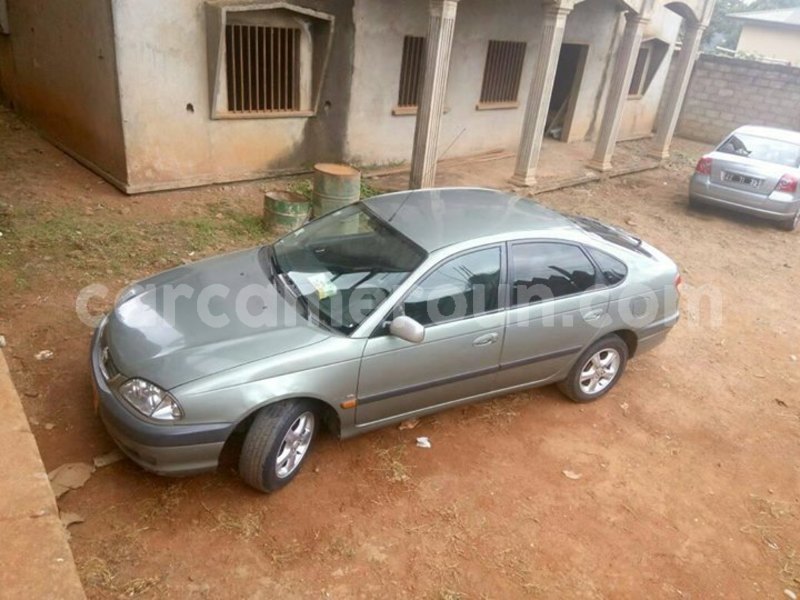 Big with watermark 40231951 459081791252654 8678050420217610240 o