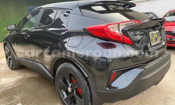 Acheter Import Voiture Toyota C-HR Bleu à Douala, Littoral Cameroon Acheter Import Voiture Toyota C-HR Bleu à Douala, Littoral Cameroon