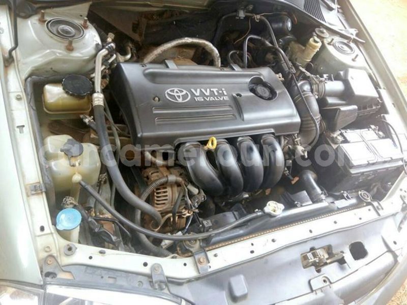 Big with watermark 40141550 459081851252648 6671806492573696000 o