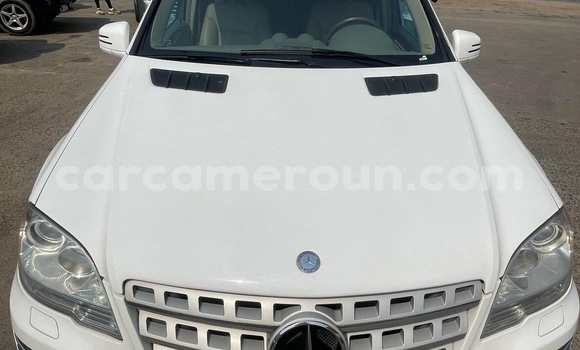Buy Import Mercedes‒Benz ML–Class White Car in Douala in Littoral Cameroon