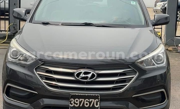 Sayi Imported Hyundai Santa Fe Sauran Mota in Douala a Ƙasar Kamaru