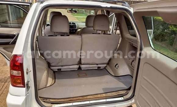 Buy Used Toyota RAV4 White Car in Yaounde in Central Cameroon Buy Used Toyota RAV4 White Car in Yaounde in Central Cameroon