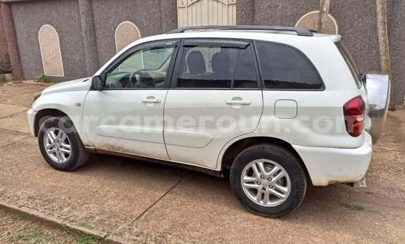 Buy Used Toyota RAV4 White Car in Yaounde in Central Cameroon Buy Used Toyota RAV4 White Car in Yaounde in Central Cameroon