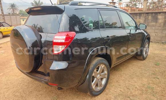 Buy Used Toyota RAV4 Black Car in Yaounde in Central Cameroon