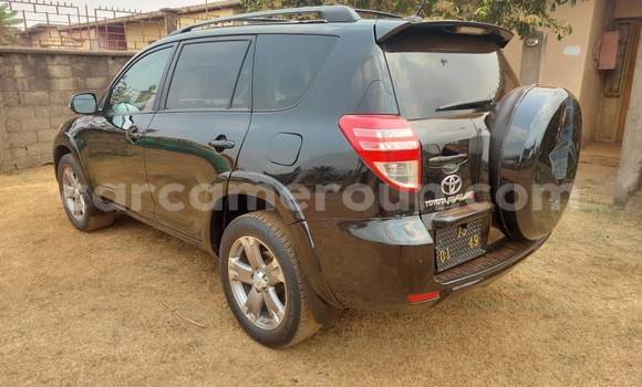 Buy Used Toyota RAV4 Black Car in Yaounde in Central Cameroon Buy Used Toyota RAV4 Black Car in Yaounde in Central Cameroon